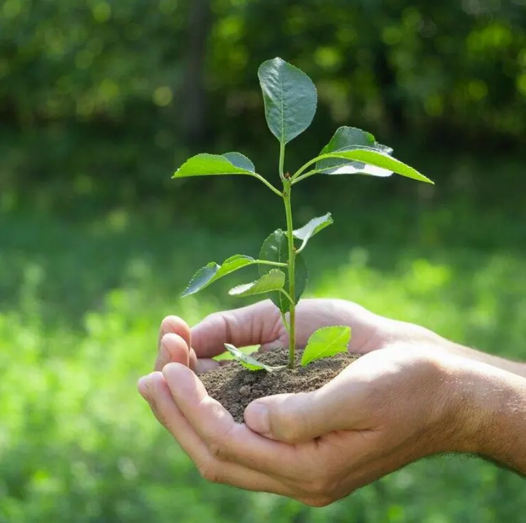 Sustainability
